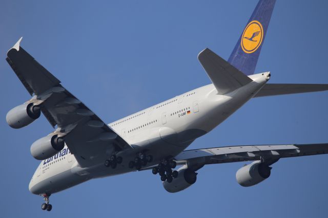 Airbus A380-800 (D-AIMF)