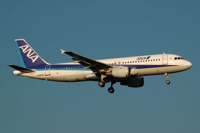 Airbus A320 (JA8390) - JA8390  Airbus A320-211  c/n:245 L/N:---  All Nippon Airways - NH/ANA : 2011/09/28 