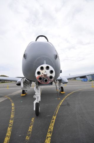 Fairchild-Republic Thunderbolt 2 — - Business end of the A_10