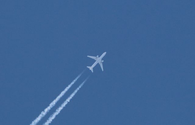 BOEING 767-300 (N652UA) - 37,000 feet, LAX-JFK.