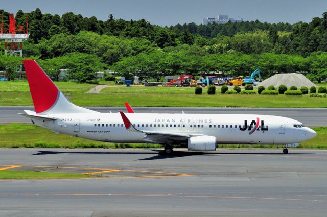 Boeing 737-800 (JA317J) - 2014