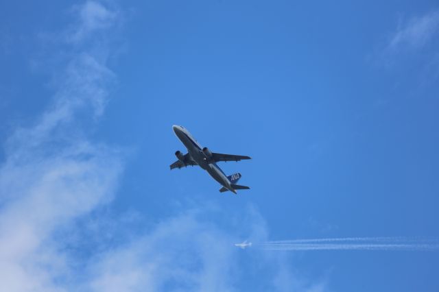 Airbus A320 (JA8394)