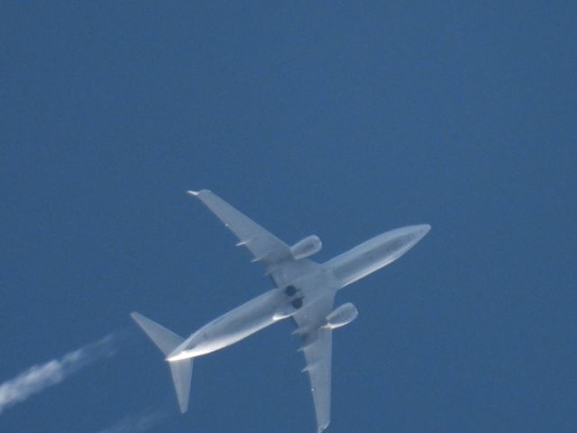 Boeing 737-800 (N33266) - UAL766br /SJD-ORDbr /11/25/2024