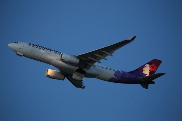 Airbus A330-200 (N384HA)