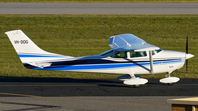 Cessna Skylane (VH-DOG)