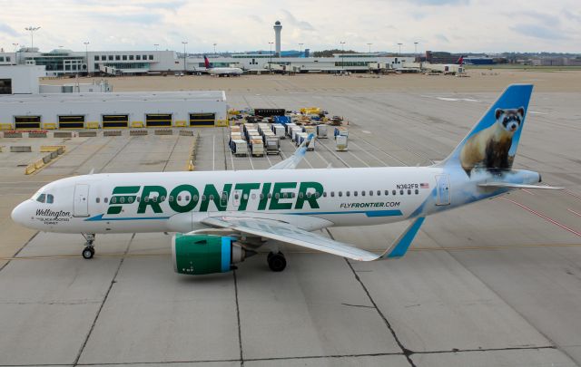 N362FR — - Frontier A320-NEO taxiing to its gate after a flight from Denver. Look at the Exit Window seat closely.