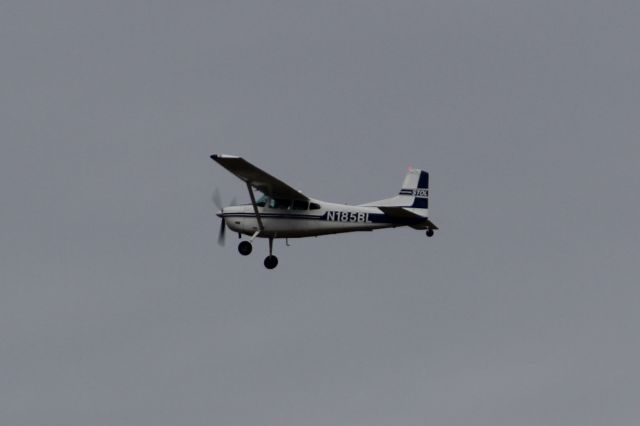 Cessna Skywagon (N185BL)