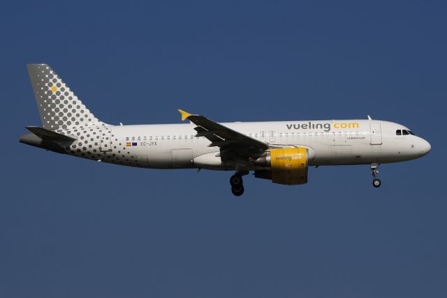 Airbus A320 (EC-JYX)