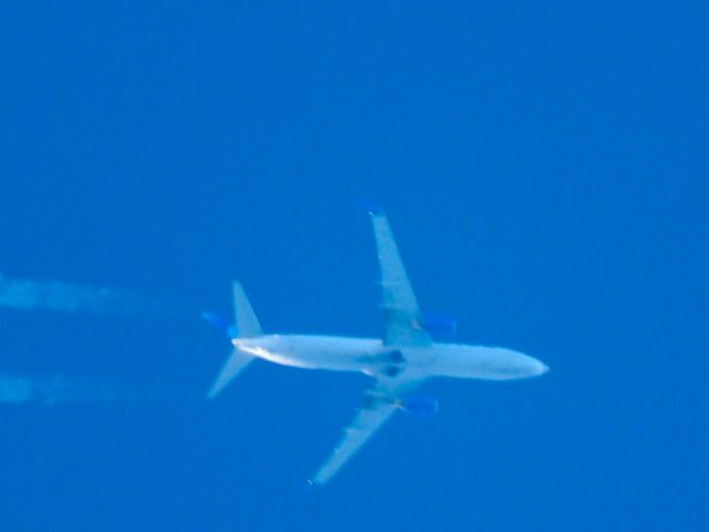 Boeing 737-800 (N35204) - UAL766br /SJD-ORDbr /11/06/2024