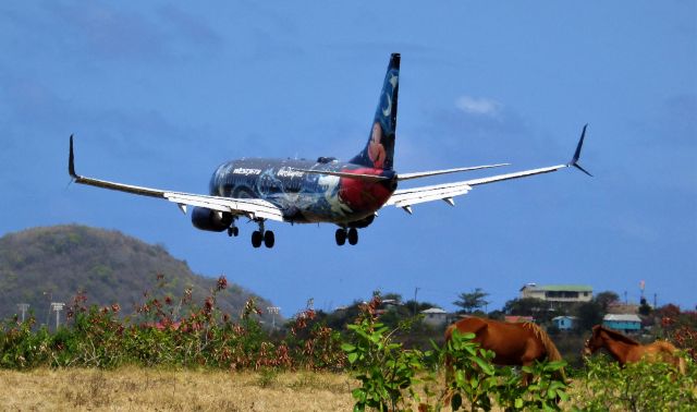 Boeing 737-800 (C-GWSZ)