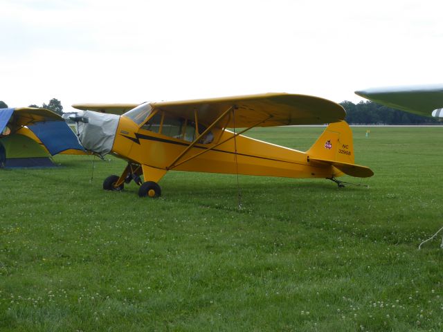 Piper L-18B Cub Special (N32908)