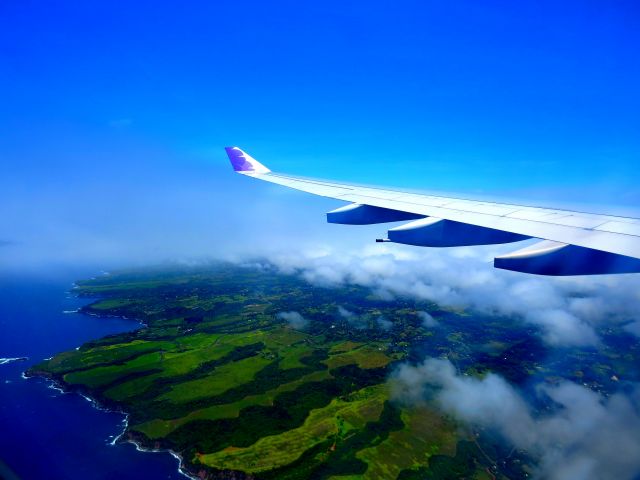 Airbus A330-200 (N380HA) - From my flight last summer on N380HA.