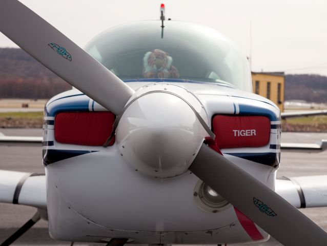Grumman AA-5 Tiger (N28991) - The Tiger guards the Tiger...  At RELIANT AIR - the cheapest fuel at Danbury!