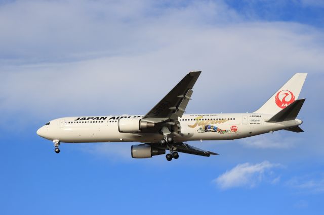 BOEING 767-300 (JA656J) - November 27th 2021:HND-HKD.