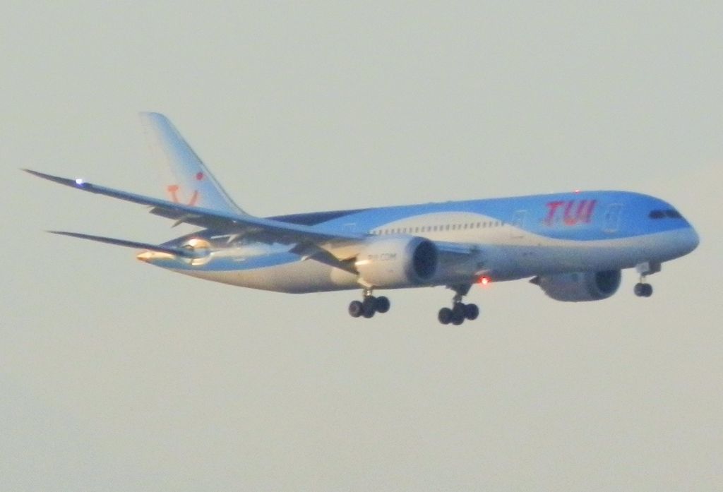 Boeing 787-8 (PH-TFL)