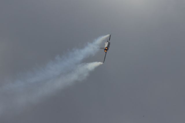 Dassault Rafale (N113GN)