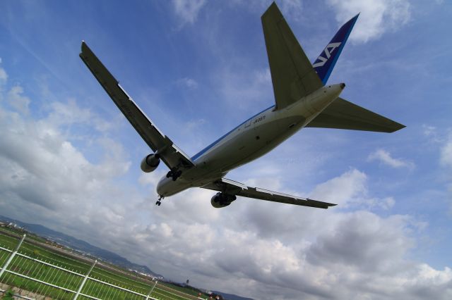 BOEING 767-300 (JA8971) - 千里川土手より撮影　2011　7/28