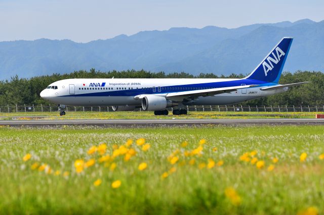 BOEING 767-300 (JA8677)