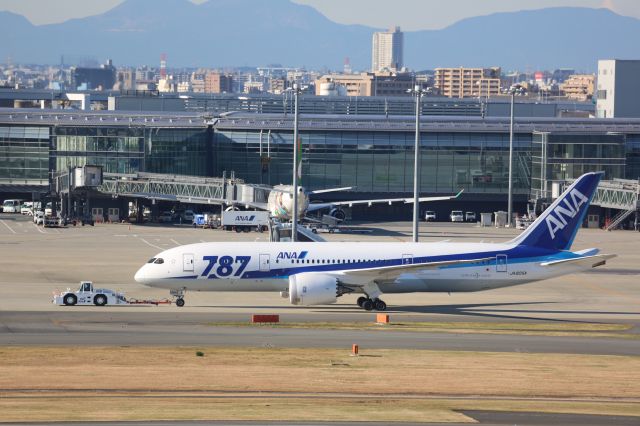 Boeing 787-8 (JA805A)