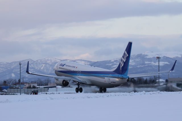 Boeing 737-800 (JA79AN) - 21 January 2016:HKD-HND.