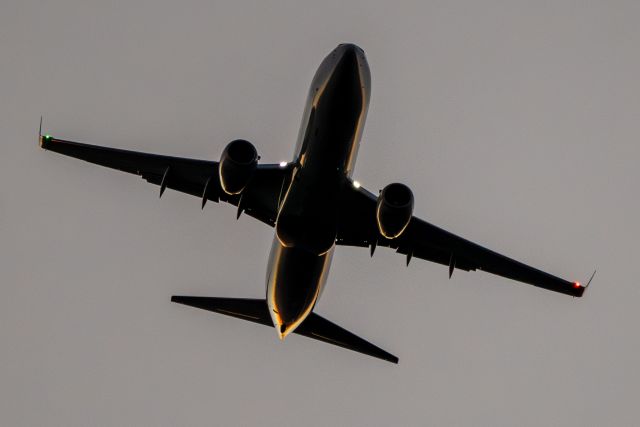 Boeing 737-800 —