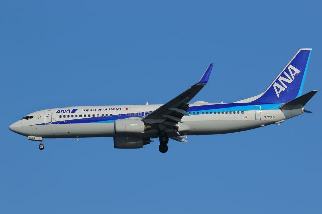 Boeing 737-800 (JA65AN)