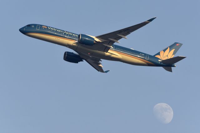 Airbus A350-900 (VN-A895)