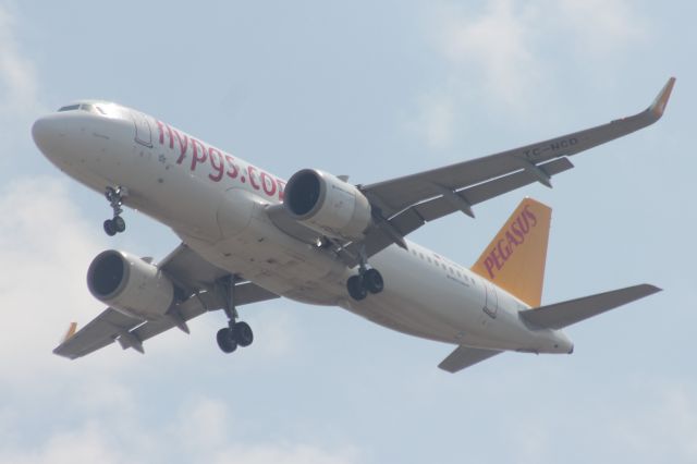 Airbus A320neo (TC-NCD)