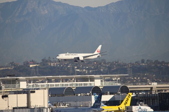 Boeing 787-9 Dreamliner (JA865J)