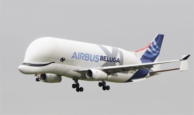 F-WBXL — - airbus beluga xl f-wbxl testing at shannon 20/5/21.