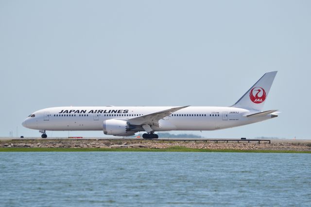 Boeing 787-8 (JA863J) - Looking across from Constitution Beach.