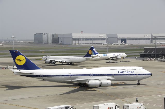 Boeing 787-8 (D-ABYT) - Taxing to Gate at Tokyo-Haneda Intl Airport on 2015/04/17