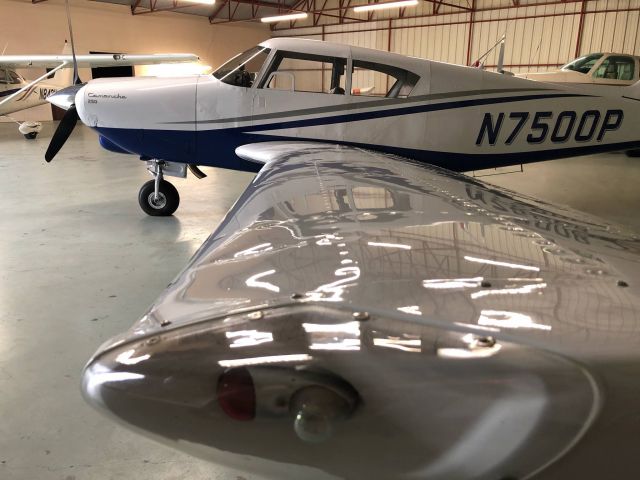 Piper PA-24 Comanche (N7500P) - Brie the Comanche Wing View!