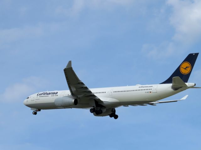 Airbus A330-300 (D-AIKP) - TAKEN AUGUST 25, 2013 - DEPARTING 36C