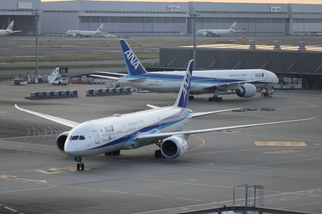 Boeing 787-9 Dreamliner (JA882A) - 02 April 2017:CGK-HND.