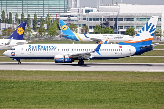 Boeing 737-800 (TC-SEK)