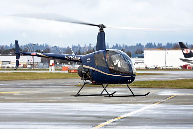 Robinson R-22 (N229MB)