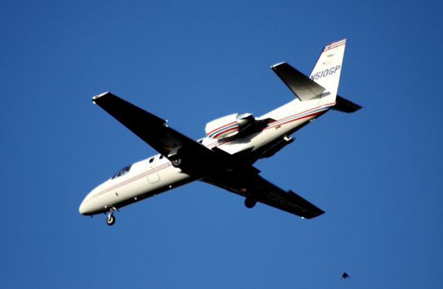 Cessna Citation II (N510GP) - On final 30L. Bird in image below Flight Aware watermark, had been caught up in the  vortex behind the plane.