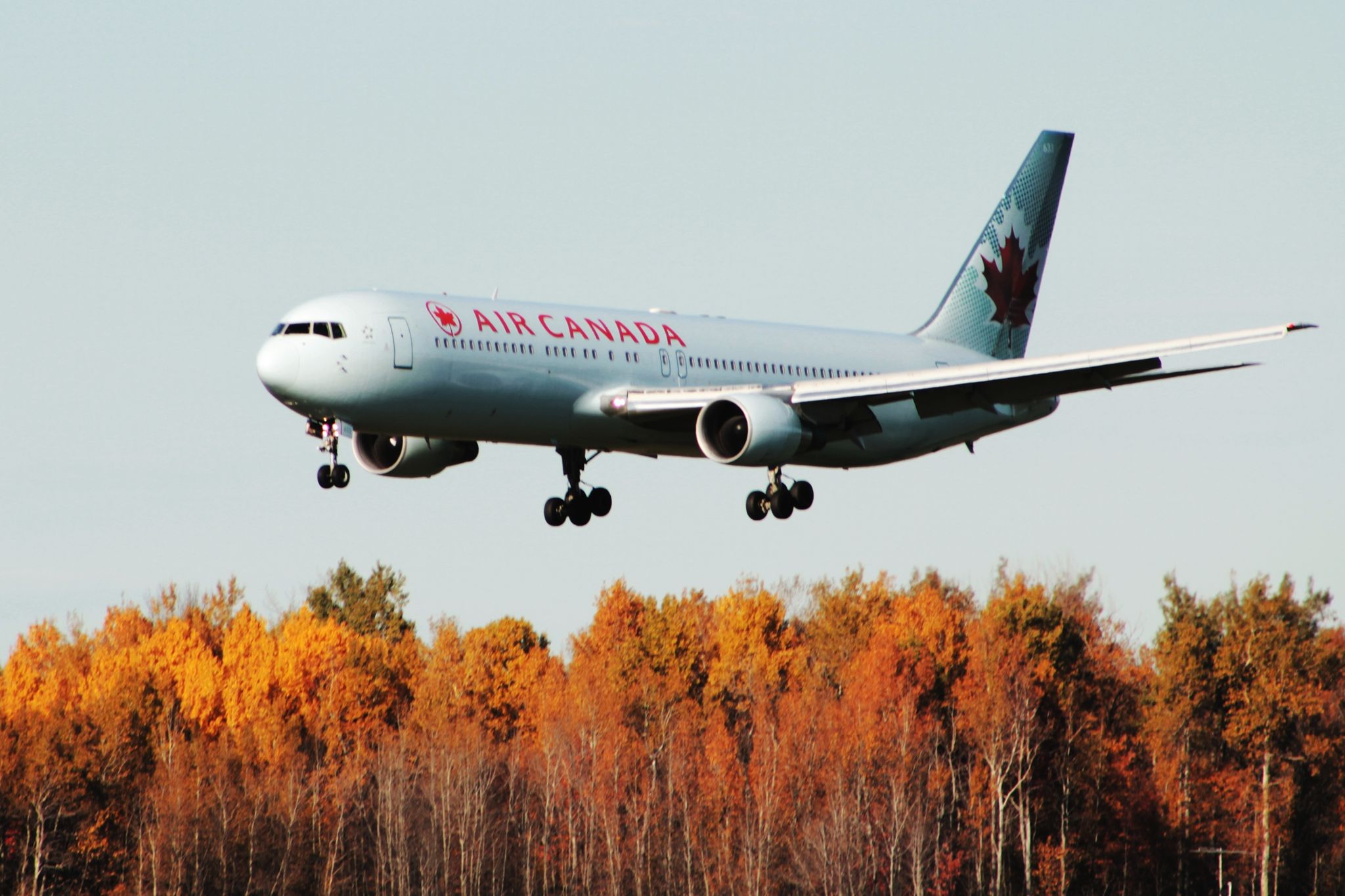 C-FMWU — - 2010:10:13 Low sun highlights trees behind runway 25 in Fall colours