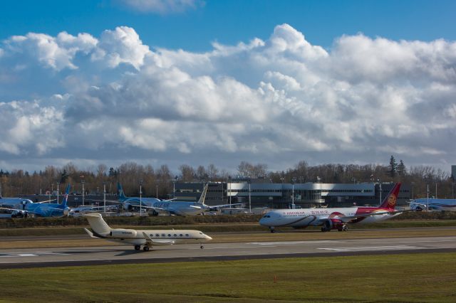 Boeing 787-8 (B-207N)