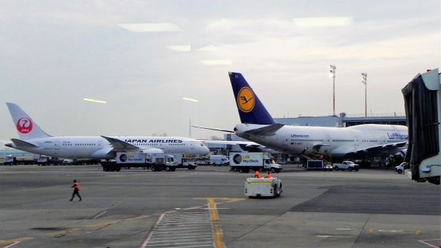 BOEING 747-8 (D-ABYJ) - With JA832J in the background; August 2014