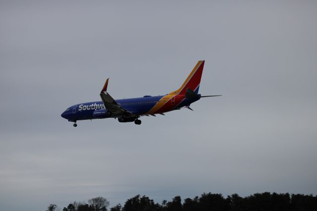 Boeing 737-800 (N8554X)