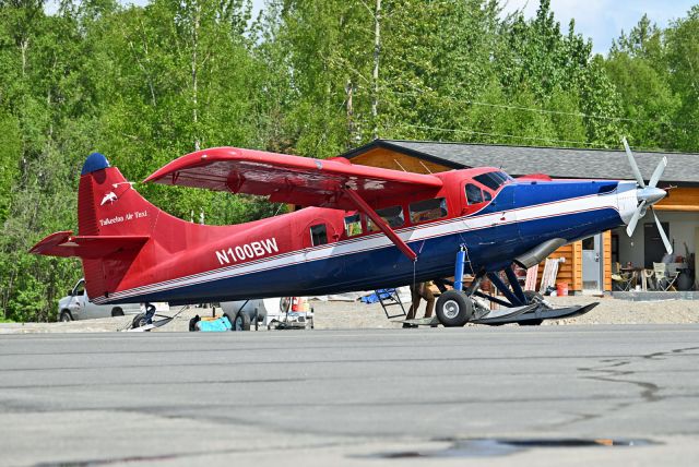 De Havilland Canada DHC-3 Otter (N100BW)