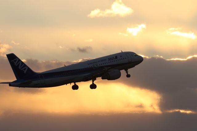 Airbus A320 (JA8654) - 19 December 2015: HKD-HND.