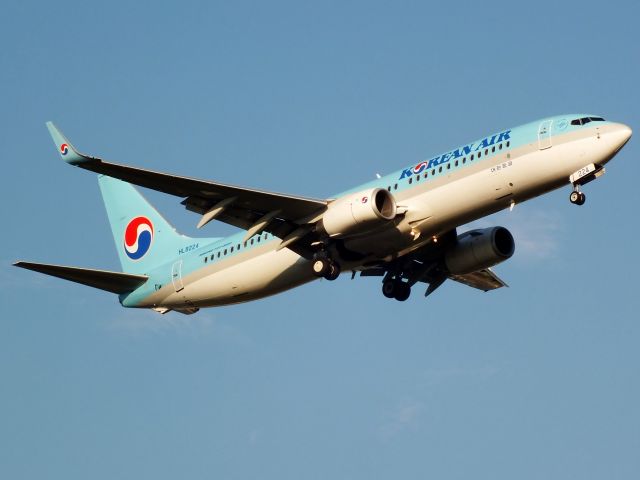 Boeing 737-800 (HL8224)