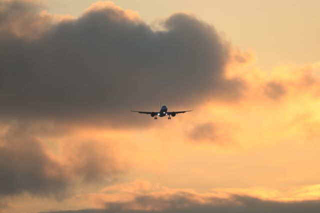 Airbus A320 (JA211A) - July 15th 2020:HND-HKD.