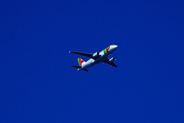 Airbus A319 — - 2008