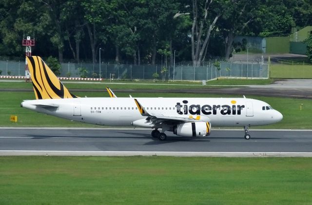 Airbus A320 (9V-TRM) - Landing at SIN (2016/11/02)