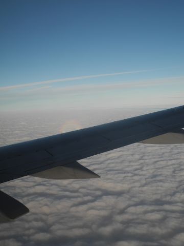 Boeing 737-700 (JA8196) - 18.Sep.2014 RJFK -> RJOObr /Its a rainbow !!