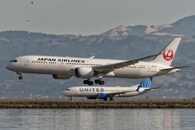 Boeing 787-9 Dreamliner (JA881J) - 16th November, 2024: Flight JL 058 from Tokyo Narita is about to touch down on runway 28L while United Boeing 738 Max - operating flight UA 1111 to Lihue in Hawaii - waits to take from parallel runway 28R. 